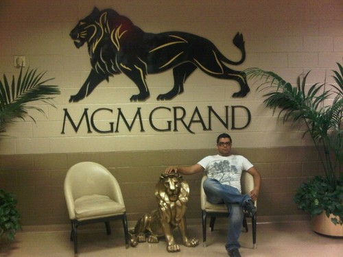 lobo4wolf's profile picture. 