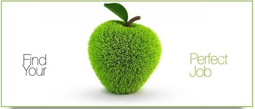 ioutsourcer's profile picture. A place of highly trained freelancers & world class employers. Get the best and the most brilliant workers and Virtual Personnel Online.