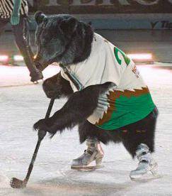 TheGRIZZleeBear's profile picture. Grizzly Smokeless Tobacco Model. Power Forward in the USBearHL. FTB; FOR THE BEARS.