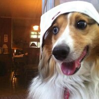 Mathieu St Arnaud (@mathstarnaud) 's Twitter Profile