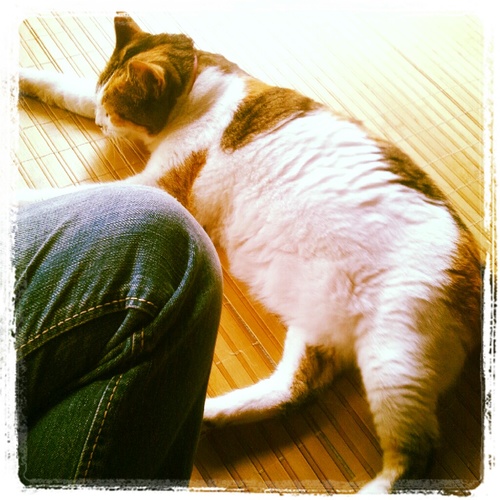 MechoSm's profile picture. 