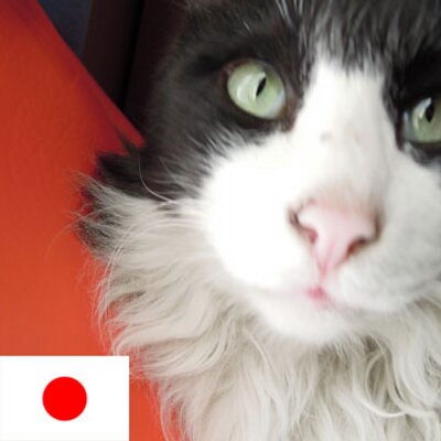 knulp (knulp_tw) Twitter