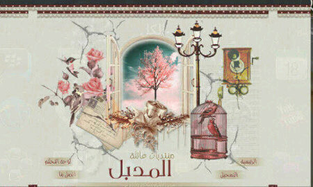 Al_modbel's profile picture. 