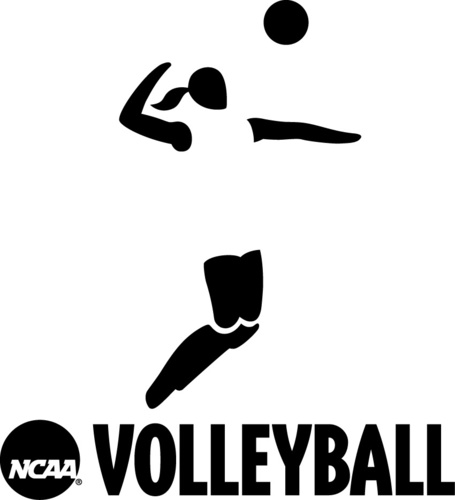 NCAA DIII Volleyball Profile