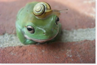 reasoner22's profile picture. erstwhile psych nurse,socialist slut, dweller on the threshold,mom..