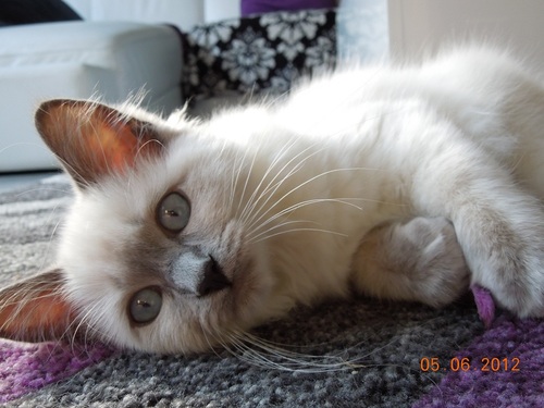 Gabriella76Xx's profile picture. Vrouw, moeder, kind.      Soms moet je veranderen om jezelf te blijven!                          Klagen is zinloos: doe iets of vergeet...