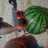 gardenhere0125