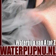Webshop met een grootschalig assortiment Oosterse en moderne waterpijpen, waterpijpkolen, (nicotinevrije) tabak, accessoires en woonaccessoires.