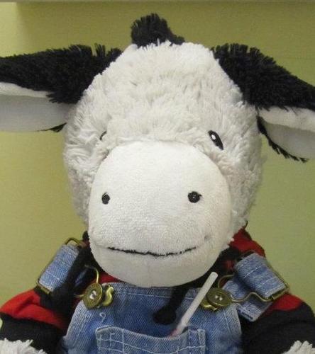 DillonLaDonkey's profile picture. I am friendly little donkey with my own unique outlook on life.