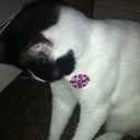 Emma Gowing - @FridaKayOh - Twitter