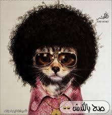 khalddle's profile picture. انااحب الضحك والفرفشه والوناسه،¬طنش تعش تنتعش°•°تابعني£ياتيك اجمل النكت والبرودكاست