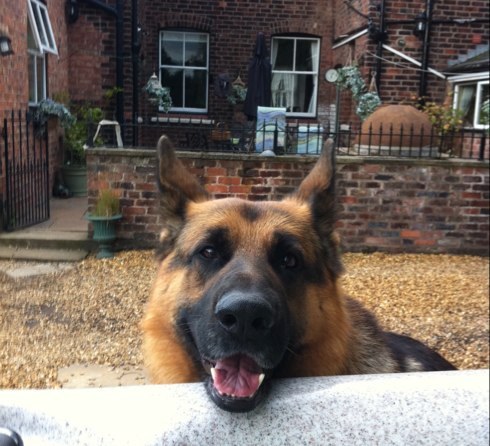 BobbyVNolan's profile picture. 