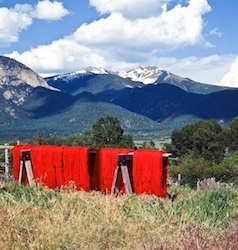 Weaving, spinning and dyeing in Northern New Mexico since 1983.