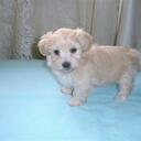 eileen blank - @eileenblank - Twitter