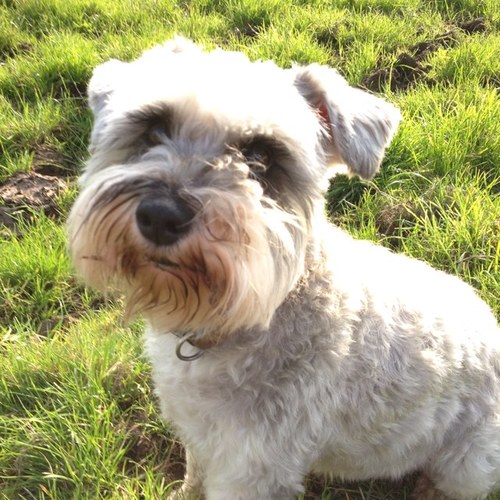 AmyEvans137515's profile picture. 