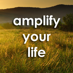The largest selection of expert audio and video downloads to Amplify your Life!