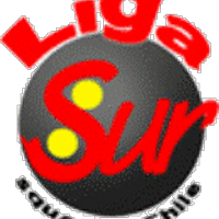 Squash Sur Chile (@squashsur) 's Twitter Profile