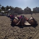 Christian Latimer - @C_gLatimer - Twitter