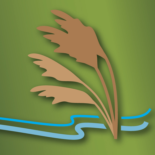 The Great Lakes Phragmites Collaborative is a partnership to link people, information, and action.