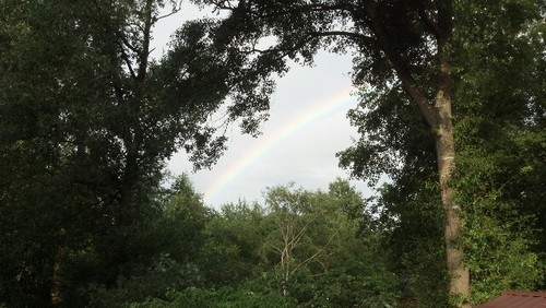 DreamerSipofsun's profile picture. Bread crumb pieces for finding who we are