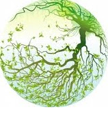 MingsChirps's profile picture. A system  neuroscientist