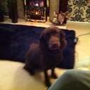 wayne trotter - @WayneTrotter - Twitter