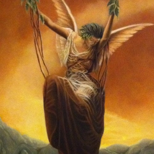 lolopeluca's profile picture. 