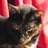 MandyinEaling's profile image
