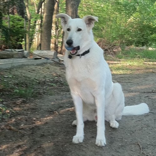 Scorpio5900's profile picture. 