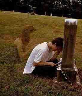 PhilRobinson54's profile picture. 