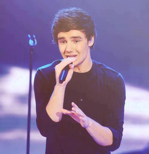 Now_Directioner's profile picture. One Direction Fan Forever,love music,love dancing