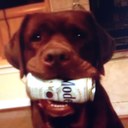 justin stell - @dukhntr4lfe - Twitter