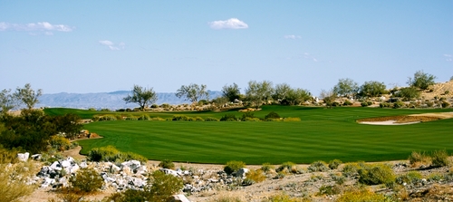 ravenverrado's profile picture. 