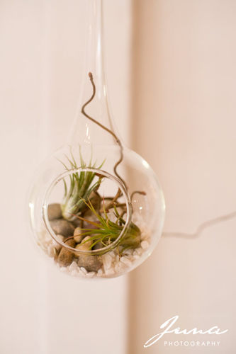 Olla Urban Flower Project is inspired to create socially conscious arrangements, plant installations + unique wedding and corporate event designs.
