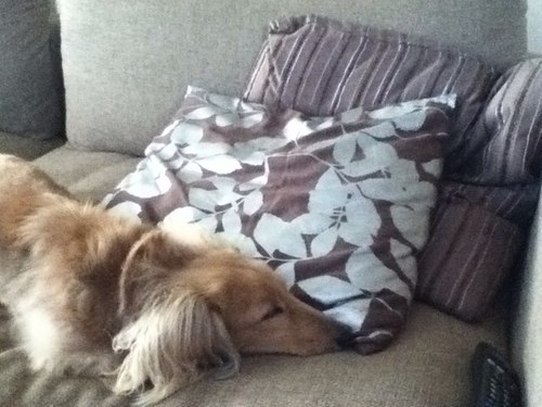 spaceminority's profile picture. football / city / warehouse /