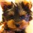 j_moritchi's profile image