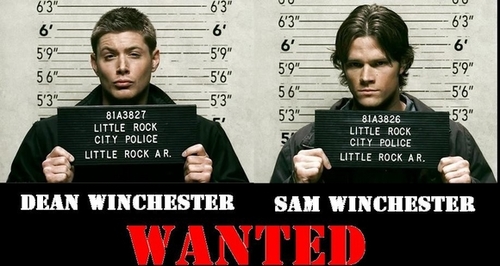 1D,TW,BTR,TheScript,TheKillers&LostProphets!SPN,HP&Batman r amazing!#Readingismypassion&musicrunsinmyveins!Cricket,footbal,ECB&MUFCrock!Folow me i folow bac! :D