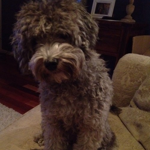 jordanjames_8's profile picture. 