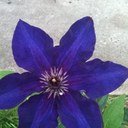 beth rednour - @brernr - Twitter