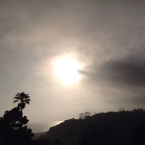 rama961's profile picture. Psychology