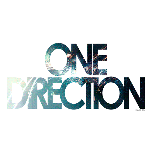 I'm a 17 year old directioner. I love @onedirection and @justinbieber! I'll followback anyone who's a directioner. #1DFamily