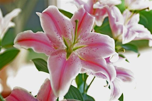 FengShuiConcept's profile picture. Feng Shui consultant + Interior Designer Sydney.  Visit our gorgeous website http://t.co/1fRZjPf6oE for Feng Shui tips