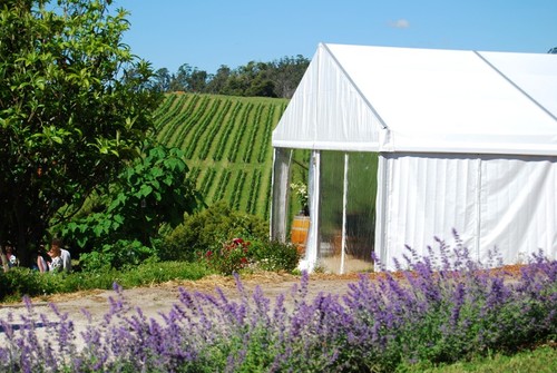 Sarah and Mark Hirst bring their love and passion to this cool-climate vineyard, producing internationally-renowned wines.