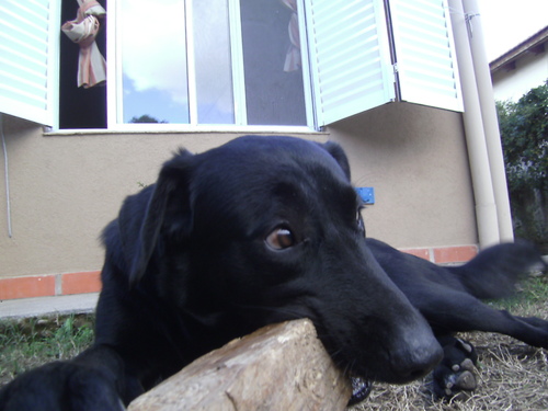 ferluques90's profile picture. 