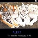 Sherri Grant - @afwife1988 - Twitter