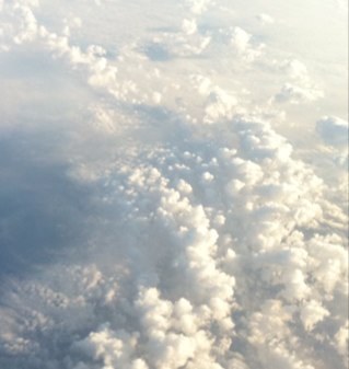 AmyMellissaD's profile picture. The World Is Not Grey. One action requires an equal or greater reaction. Regard life with honesty and purest  intentions at all cost Truth can set us Free