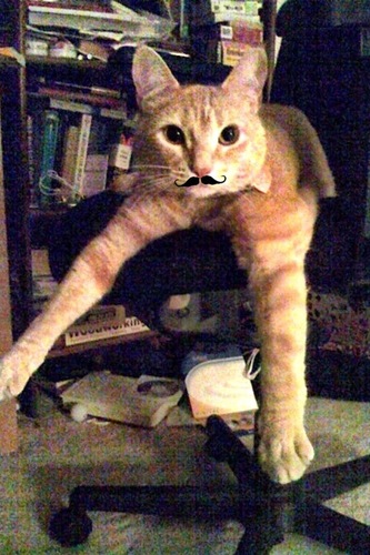 kittycatvaq's profile picture. "I've got an open mind so why don't you all get inside."