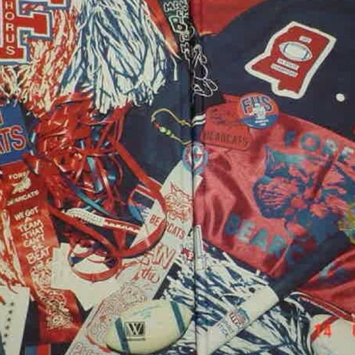 forestbearcats's profile picture. Bearcat Nation promotes Forest Schools' student athletics and activties.