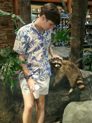 successfulwil's profile picture. 