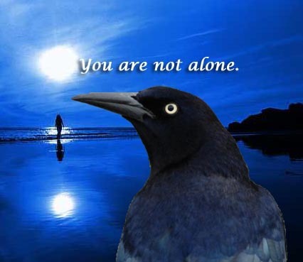 TheGreatGrackle's profile picture. Only the fifteen recipients of His Great Feathers will ever truly understand His will